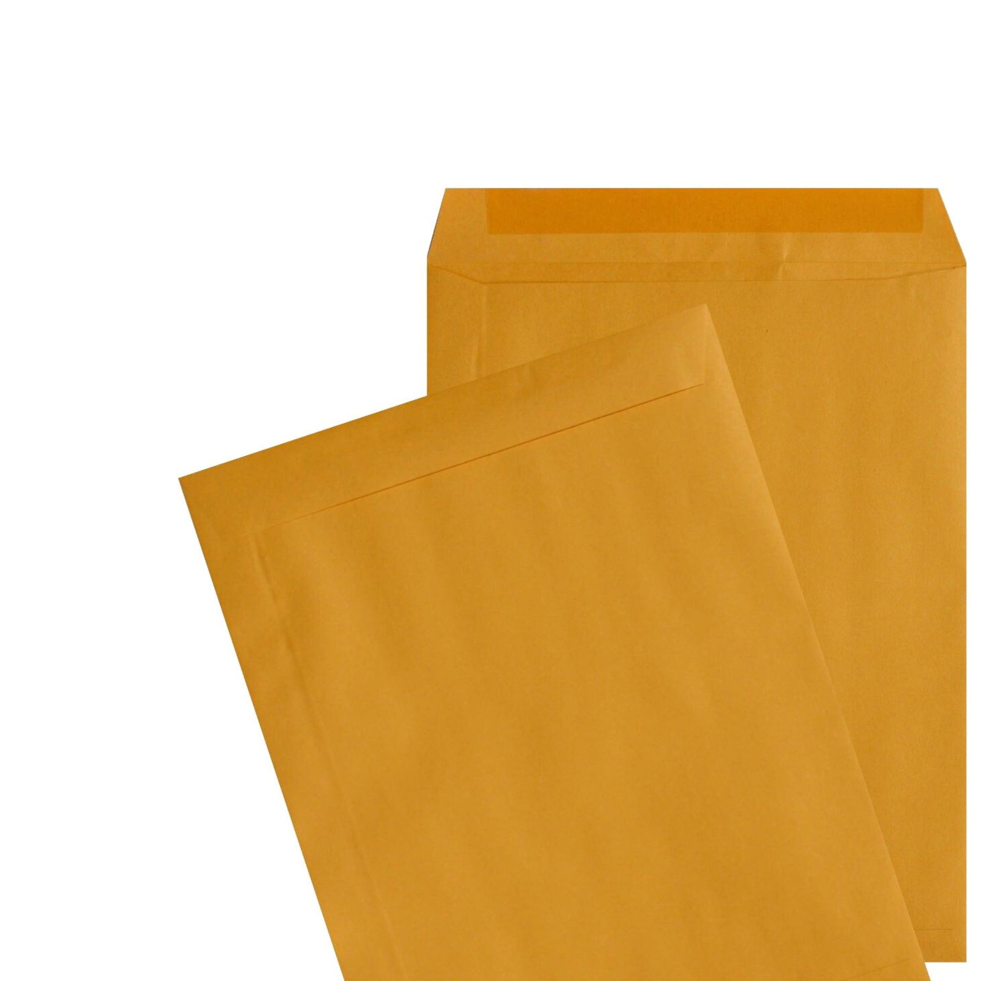 ENVELOPES KRAFT 10X13" - 100 UNITS/PACK - Warehouse Instant Supplies LLC